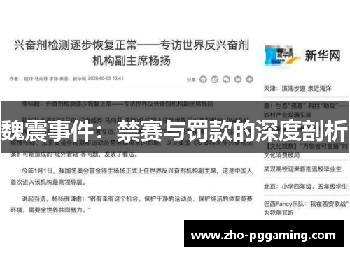 魏震事件：禁赛与罚款的深度剖析