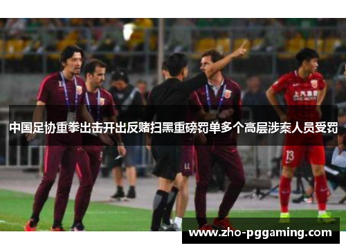 中国足协重拳出击开出反赌扫黑重磅罚单多个高层涉案人员受罚