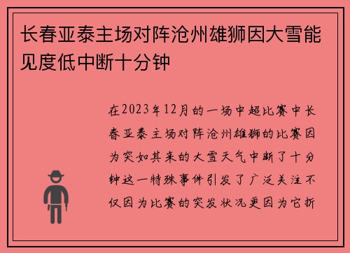 长春亚泰主场对阵沧州雄狮因大雪能见度低中断十分钟